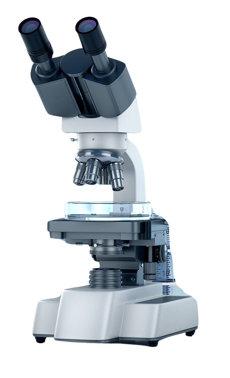 Untitled design 3 e1745751490907